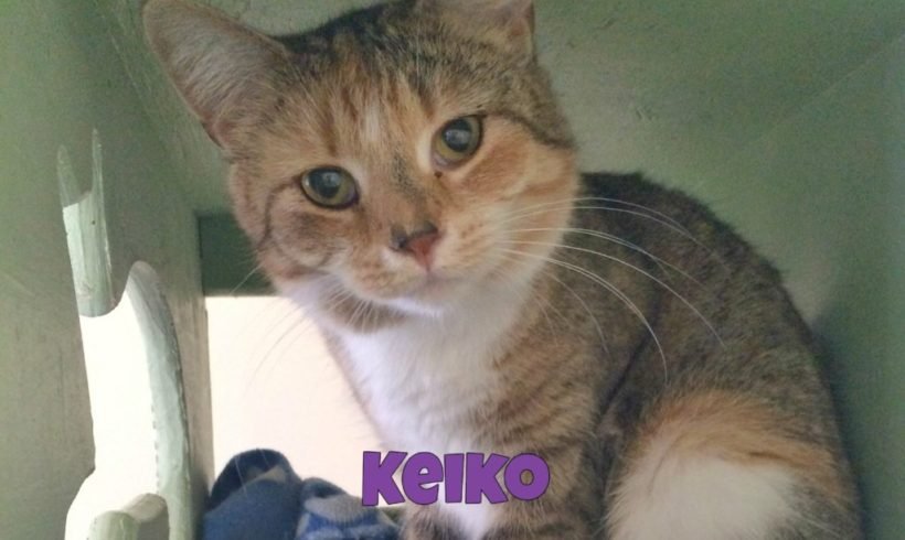 Keiko